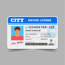 driverlicensesolution.com